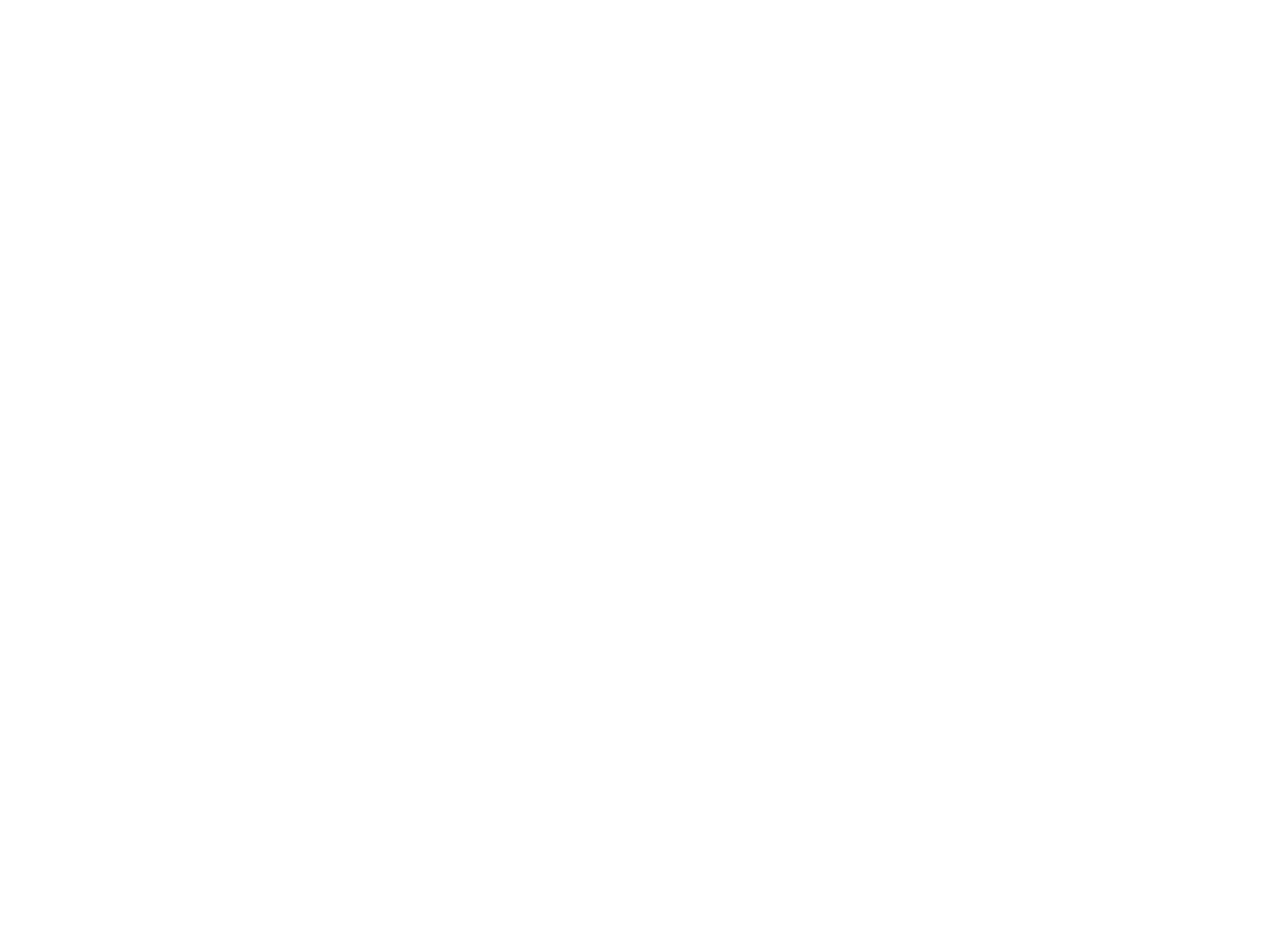 Morales Schmidt LLC